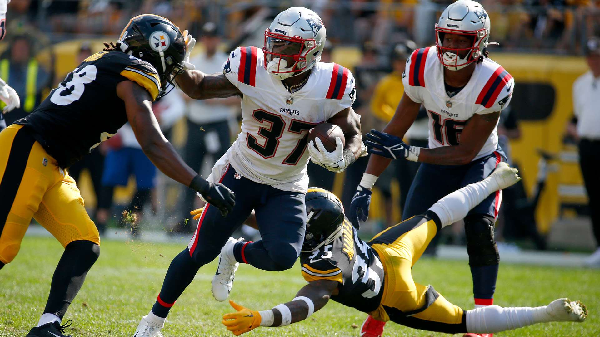 他的入选 他的入选